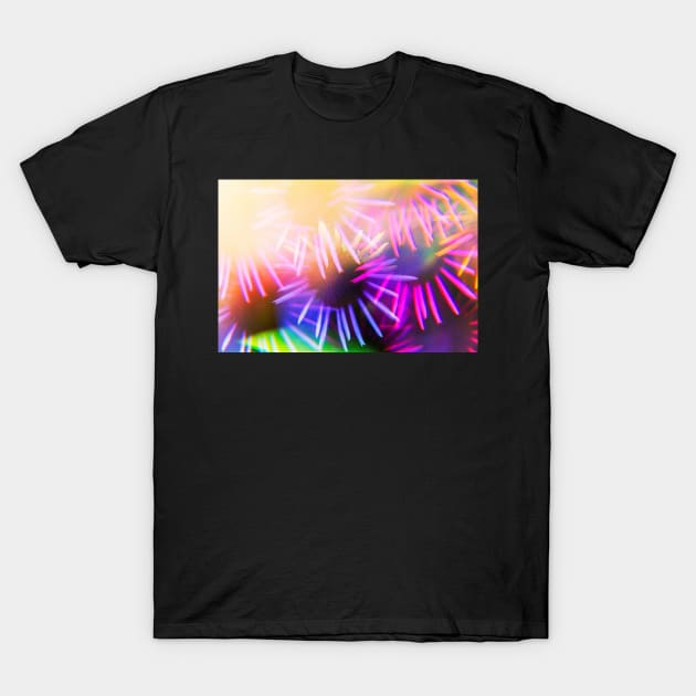 Fractal Echinacea no.4667 T-Shirt by karinelizabeth